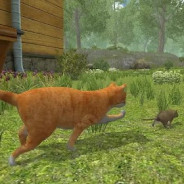 Forest Mouse