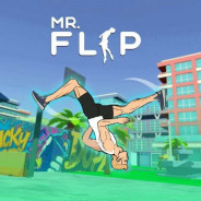 Mr Flip